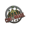 CircoBrasil